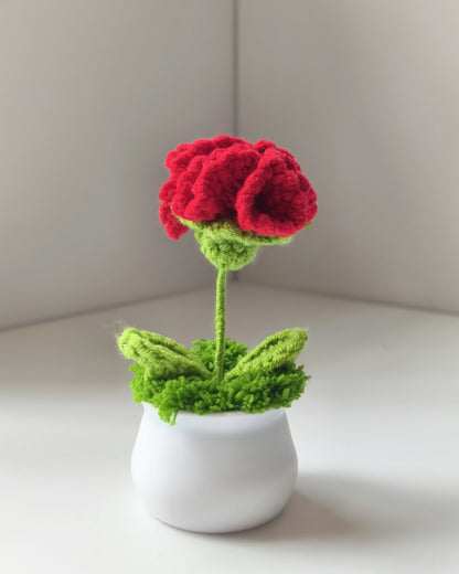 Handmade Knitted Flower Pot – Yarn Sunflower, Carnation & Tulip Desk Decor