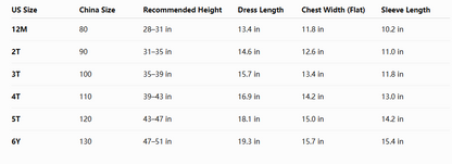 Boys Two Piece Outfit Set | Long Sleeve Pullover Top & Shorts Casual Matching Set